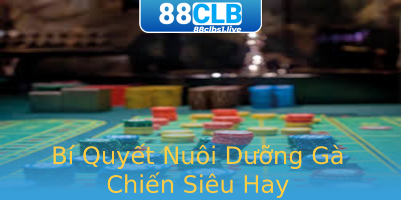 Bí Quyết Nuôi Dưỡng Gà Chiến Siêu Hay Bí Quyết Nuôi Dưỡng Gà Chiến Siêu Hay