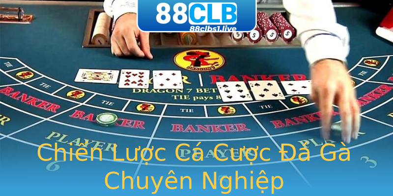 Chiến Lược Cá Cược Đá Gà Chuyên Nghiệp Chiến Lược Cá Cược Đá Gà Chuyên Nghiệp
