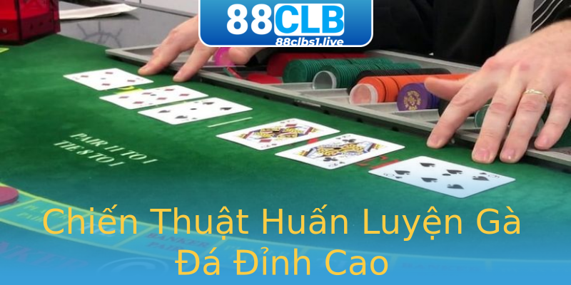 Chiến Thuật Huấn Luyện Gà Đá Đỉnh Cao Chiến Thuật Huấn Luyện Gà Đá Đỉnh Cao