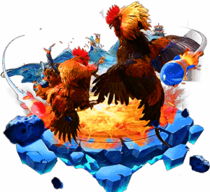 Cockfight Banner 4776E7A