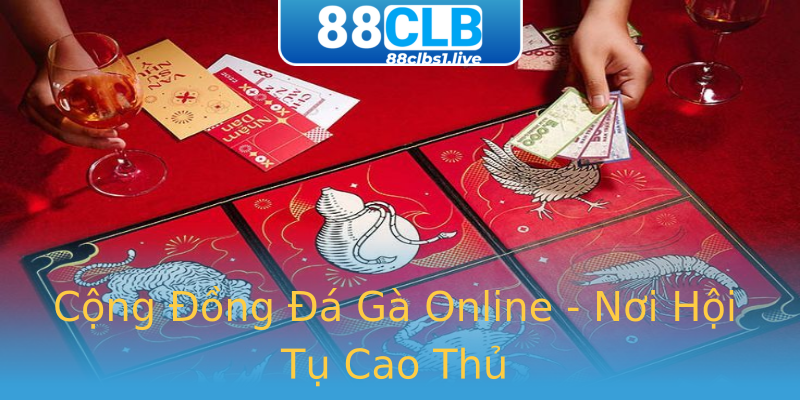Cộng Đồng Đá Gà Online - Nơi Hội Tụ Cao Thủ Cộng Đồng Đá Gà Online - Nơi Hội Tụ Cao Thủ
