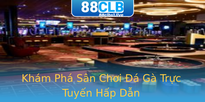 Khám Phá Sân Chơi Đá Gà Trực Tuyến Hấp Dẫn Khám Phá Sân Chơi Đá Gà Trực Tuyến Hấp Dẫn