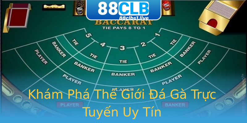 Khám Phá Thế Giới Đá Gà Trực Tuyến Uy Tín Khám Phá Thế Giới Đá Gà Trực Tuyến Uy Tín