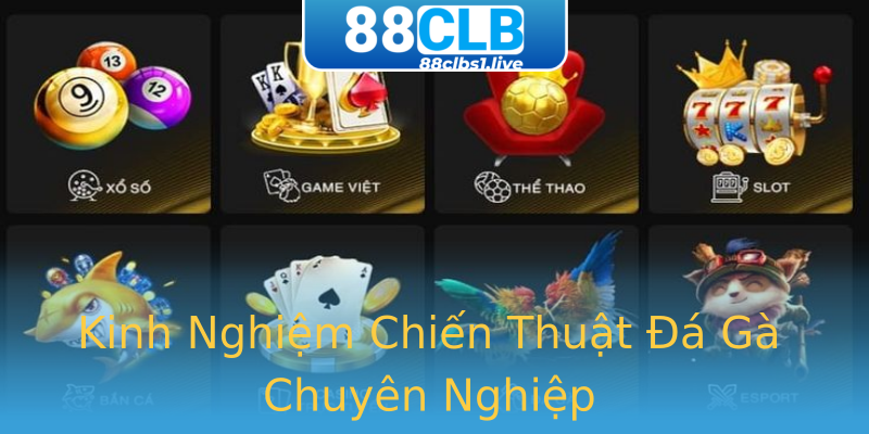 Kinh Nghiệm Chiến Thuật Đá Gà Chuyên Nghiệp Kinh Nghiệm Chiến Thuật Đá Gà Chuyên Nghiệp