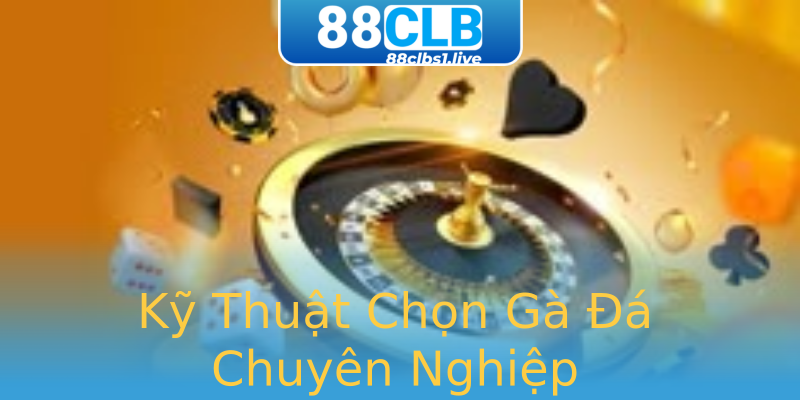 Kỹ Thuật Chọn Gà Đá Chuyên Nghiệp Kỹ Thuật Chọn Gà Đá Chuyên Nghiệp